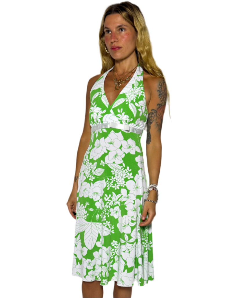 Xxs-xs : GREEN AND WHITE HALTER